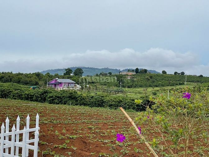 Bán đất view hồ Phúc Thọ 552m2, sổ đỏ full thổ cư