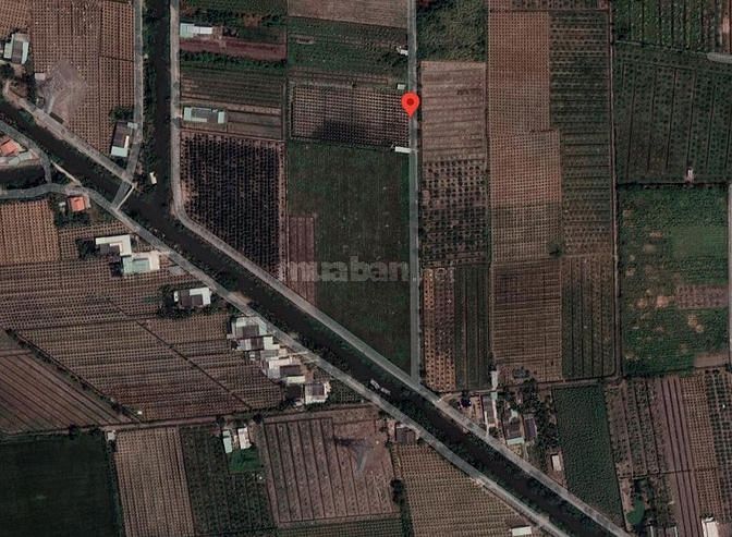 1024m2 vườn (10x103) đường công nhận 4,5m, cách DT816 1,8km 1,19 tỷ
