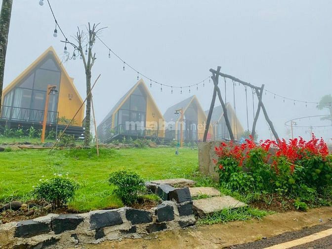 Đất nghĩ dưỡng Bảo Lộc view đồi thông giá đầu tư