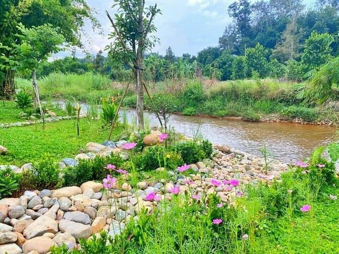 Đất nghĩ dưỡng Bảo Lộc view đồi thông giá đầu tư