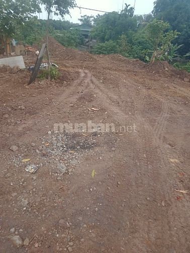 Bán Đất An Phú Mỹ Đức - Mặt Đường Hồ Chí Minh 88,7m2 -  1.56 tỷ