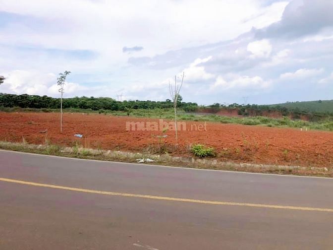 Chính chủ bán 358m2 thổ, MTĐ Lý Thường Kiệt 870tr, sổ sẵn