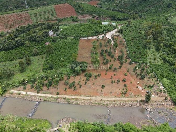 Chủ cần gấp bán 9900m2 đất ven sông Đại Nga, TP Bảo Lộc