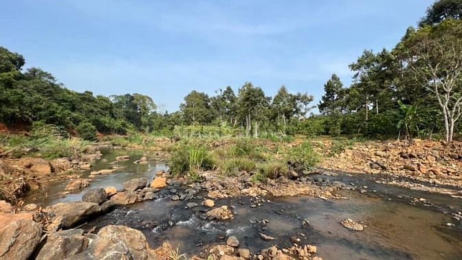 Chủ cần gấp bán 9900m2 đất ven sông Đại Nga, TP Bảo Lộc