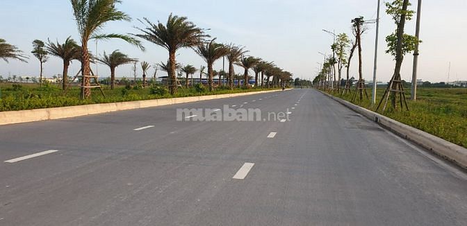 Bán gấp Shophosue mặt đường 52m tại KCN Tiền Hải. Gía chỉ 16,2tr/m2