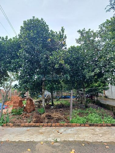 Chính chủ cần bán đất vị trí đẹp tại tỉnh Bình Thuận