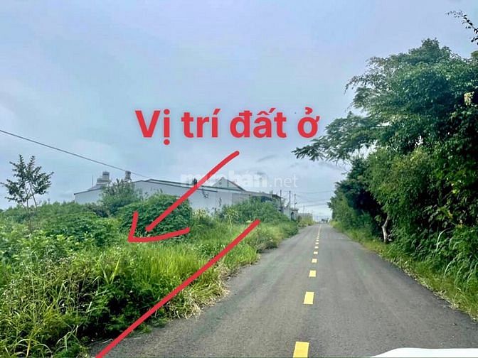 655tr mặt tiền đường 20m, cách TTTP Bảo Lộc 5p, đông dân