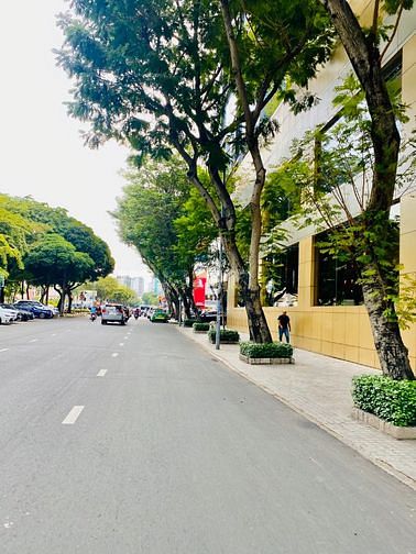Bán gấp MT Cộng Hòa 9.5x35, khu K300 giá 37 tỷ