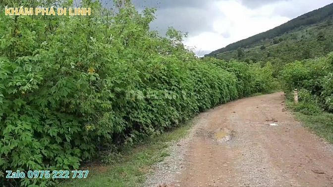 Đất hồ Kala, 2,1 sào, 60m mặt tiền đường bê tông, giáp mặt nước hồ