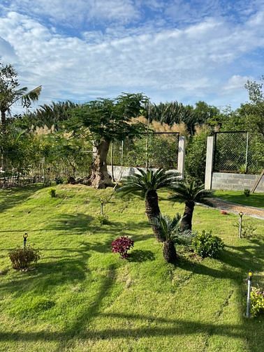 Chính Chủ Cần Bán 1600m2 Đất MT Lê Văn Lương Phước Kiển Nhà Bè. Giá