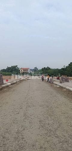 BÁN ĐẤT ĐẤU GIÁ - TÂN ƯỚC - GIÁ TỐT