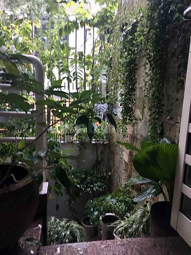 Cần bán nhà 3 tầng HXH Hoa Lan, Phú Nhuận, DT: 80m2, giá 19 tỷ (TL)