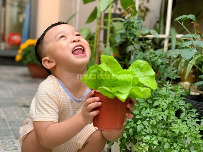 NHÀ TRUNG TÂM BA ĐÌNH - 50M RA MẶT PHỐ - Ô TÔ ĐỖ CỬA - CHỈ 5.1 TỶ