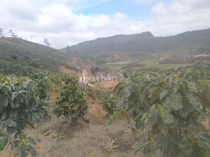 Bán đất chính chủ - Giá rẻ - View đẹp