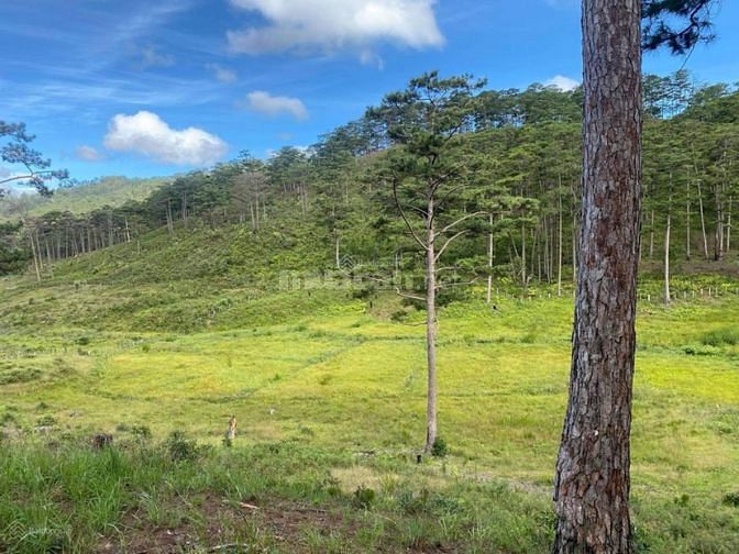 Bán đất chính chủ - Giá rẻ - View đẹp