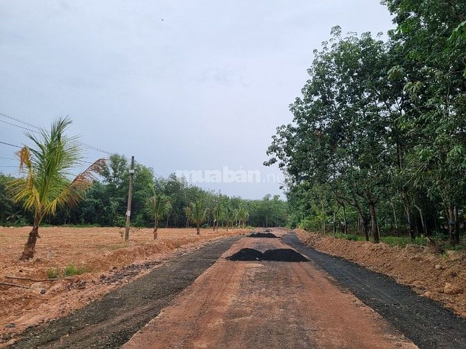 bán đất dân sổ hồng riêng có sẵn ngay kcn becamex đồng phú bình phước
