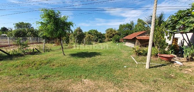 Bán 11.423m2 đất trung tâm xã Long Vĩnh, Châu Thành, Tây Ninh