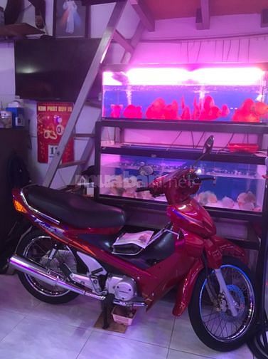 Bán xe Future đời 2001 màu đỏ zin mới chính chủ