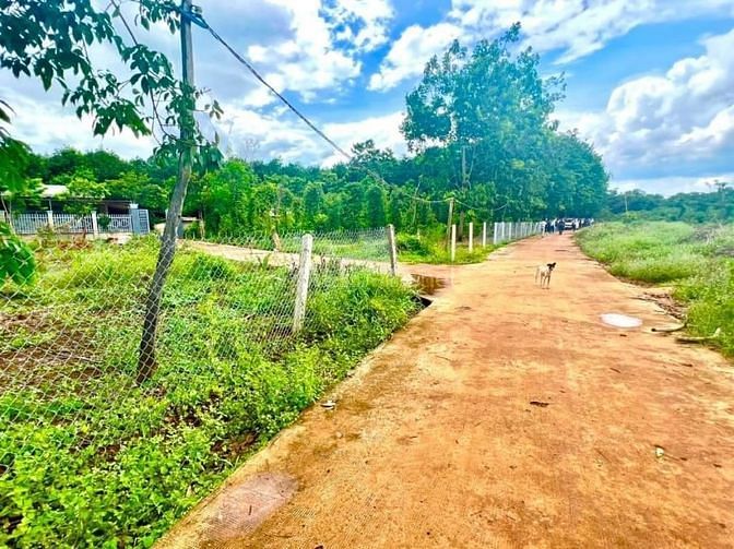 BÁN GẤP ĐẤT THỔ CƯ NGAY TRUNG TÂM PHÚ RIỀNG - BÌNH PHƯỚC.