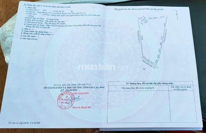 Bán nhà vườn sầu riêng cà phê có nguồn thu ổn định 150trđ/năm 