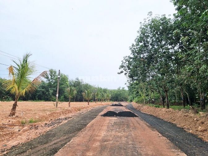 thanh toán 650tr sở hữu miếng đất sổ hổng ngay ubnd tân lợi đồng phú