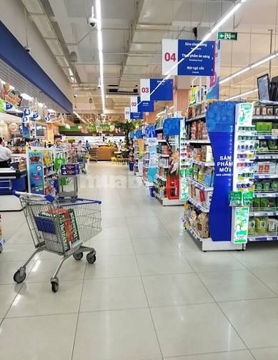 Việc làm thời vụ quận Thủ Đức - quận 2