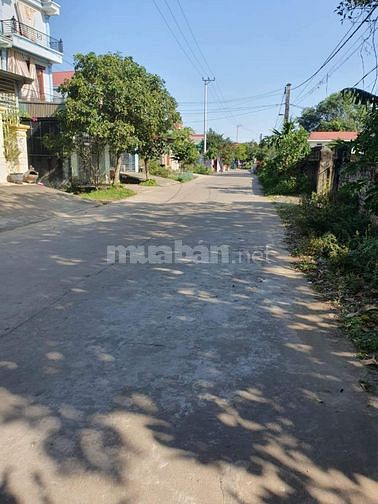 BÁN ĐẤT NINH BÌNH, XÃ QUỲNH LƯU, NHO QUAN, DT 1022 M2 GIÁ SIÊU MỀM