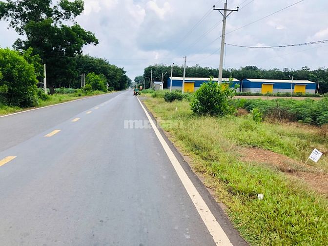 BÁN NHANH 1200M2 ĐẤT NGAY CHỢ GẦN KCN TIỆN XÂY NHÀ Ở. GIÁ 480 TRIỆU