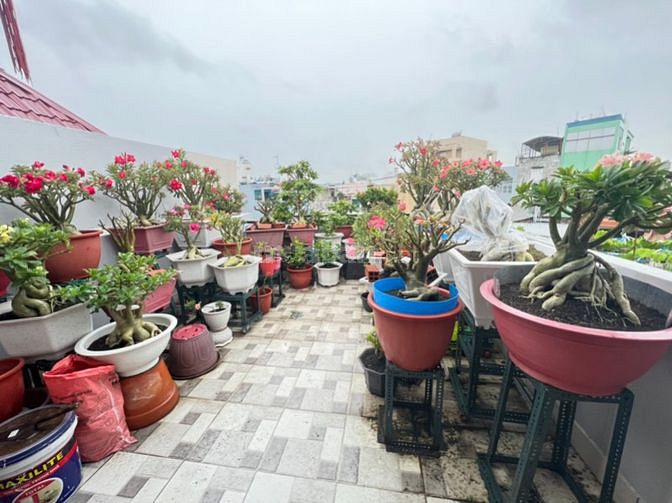 Nhà hẻm 8m Bình Thới P10 Q11. 3,9 x 14m vuông vức (61,6 m2)