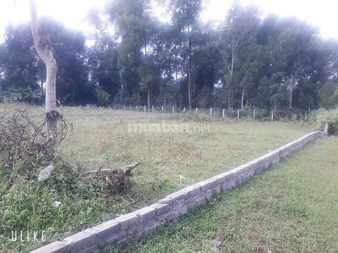 Bán 600m2 sổ đỏ Hà Nội chuẩn đầu tư hoăc xây nhà vườn giá 3,6tr/m2.