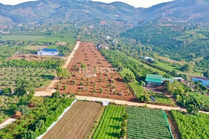 496m đất Mê Linh sẵn 100m thổ cư giá 1ty550 LH 0967269149 gặp e Quyên 