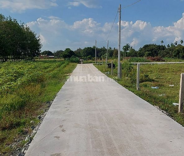 Tôi cần bán gấp 284m2 đất full thổ cư,đường bê tông,Gò Dầu Tây Ninh
