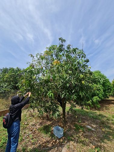 Bán 11.423m2 đất trung tâm xã Long Vĩnh, Châu Thành, Tây Ninh