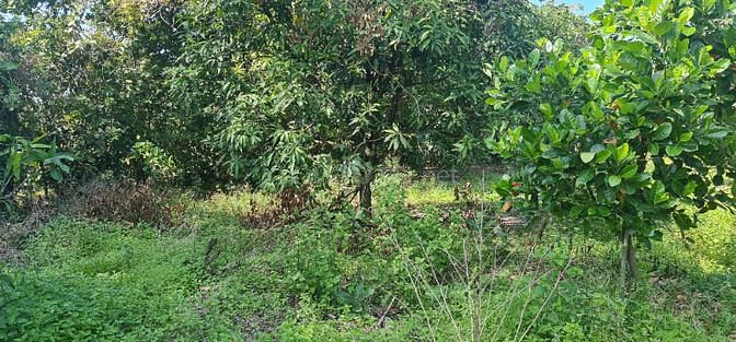 Bán 11.423m2 đất trung tâm xã Long Vĩnh, Châu Thành, Tây Ninh