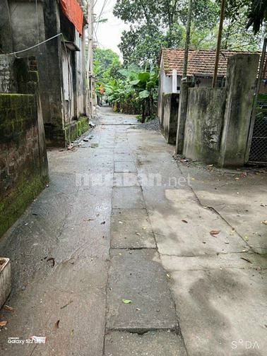 Bán đất  Đồng Hoàng, phường Đồng Mai, quận Hà Đông, Hà Nội 64 triệu/m2
