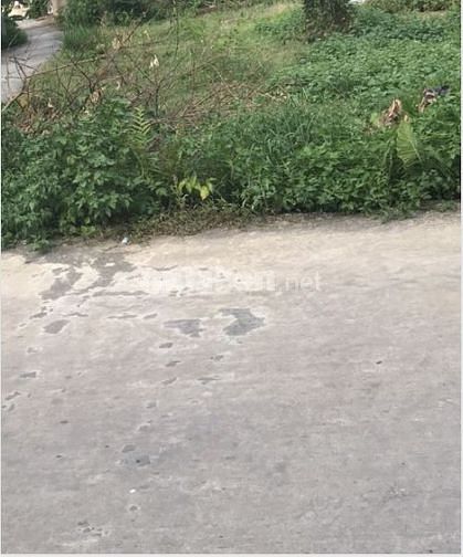 Bán lô đất  thôn Xuân Đồng, xã Tân Minh, huyện Sóc Sơn, Hà Nội