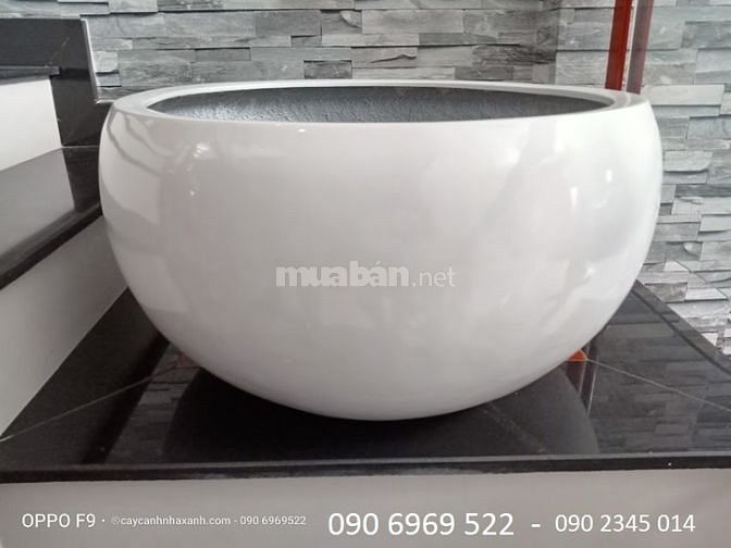 Chậu sứ cao cấp, Chậu composite cắm Lan