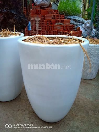 Chậu sứ cao cấp, Chậu composite cắm Lan
