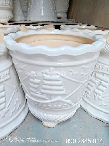 Chậu sứ cao cấp, Chậu composite cắm Lan