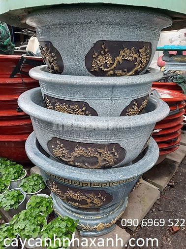 Chậu sứ cao cấp, Chậu composite cắm Lan