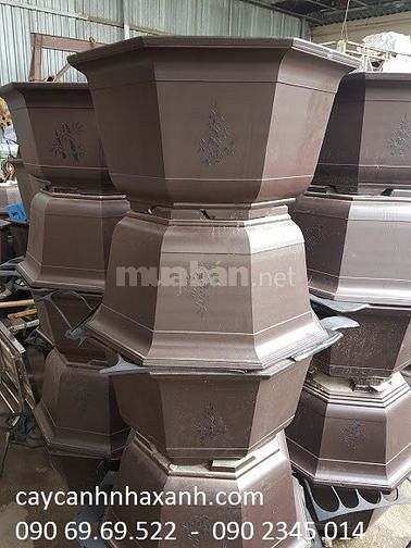 Chậu sứ cao cấp, Chậu composite cắm Lan