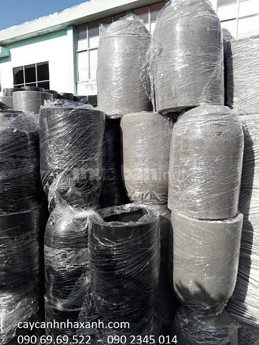 Chậu sứ cao cấp, Chậu composite cắm Lan