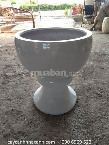 Chậu sứ cao cấp, Chậu composite cắm Lan