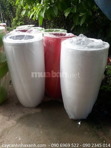 Chậu sứ cao cấp, Chậu composite cắm Lan