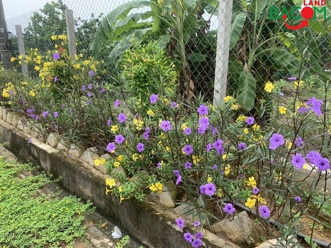 Bán đất biệt thự đẹp 406m2,Xã Tân Bình,Vĩnh Cửu,Giá chỉ 3.4 tỷ,đg oto