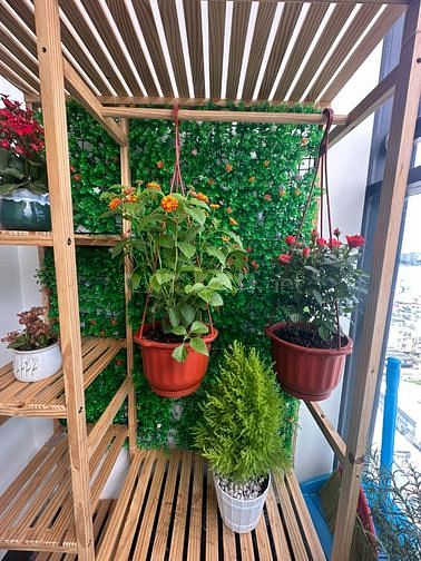 Homestay - Sleepbox MinHomes: Lì Xì Tết 1.000.000VND