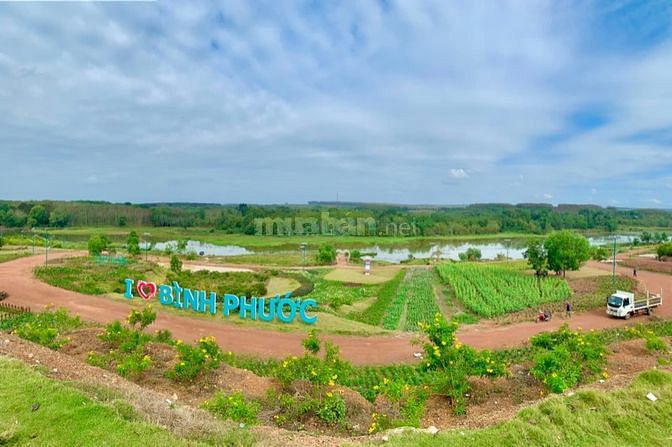 Đất gần kcn Minh Hưng Chơn Thành Bình Phước chỉ 399tr