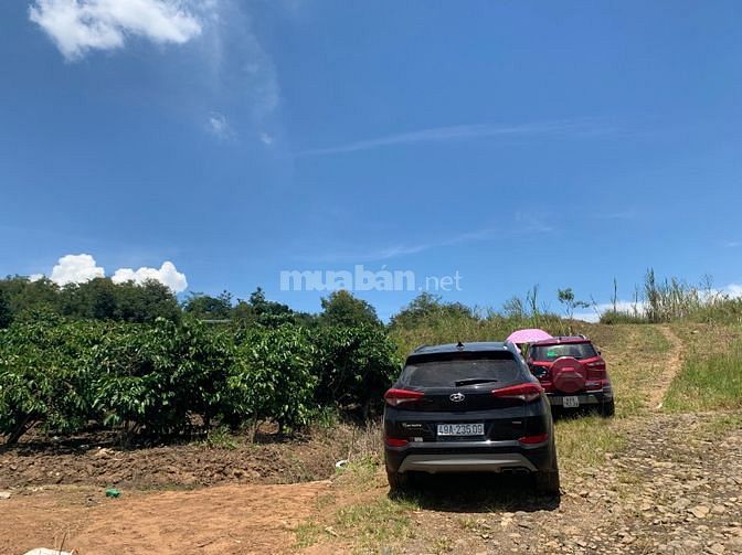 Giá 500k/m2, đất đẹp, view đẹp, đường ô tô, có nhà, có hồ nước đẹp
