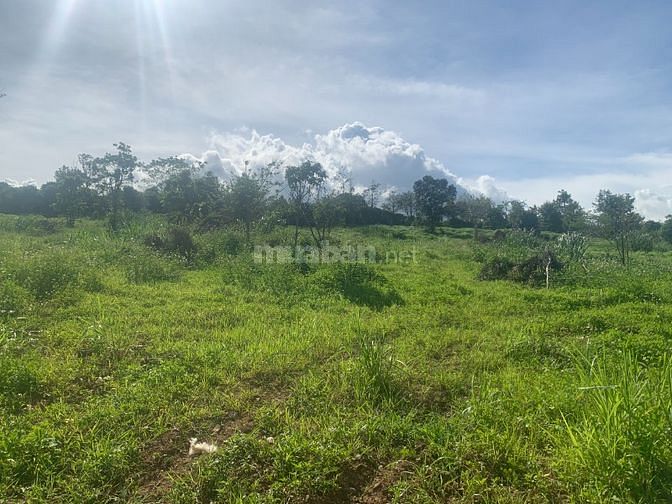 Giá 500k/m2, đất đẹp, view đẹp, đường ô tô, có nhà, có hồ nước đẹp