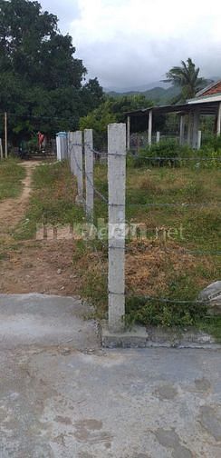 Đất chính chủ, khu dân cư, toàn bộ thổ cư, KT: 11.5m x 27m (304m2)